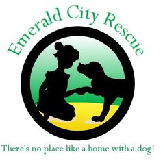 Emerald City Rescue